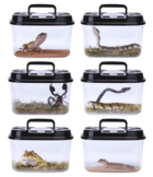 Reptielbakken en accessoires