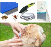 Vlooien en teken bestrijding