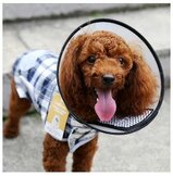 Beschermkragen en overig