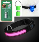 Honden verlichting