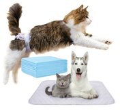 Katten incontinentie producten