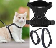 Kattentuigjes