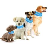 Honden koelhalsbanden