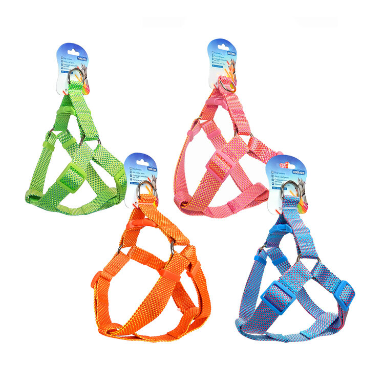 Leuke kleuren hondentuig felle kleur
