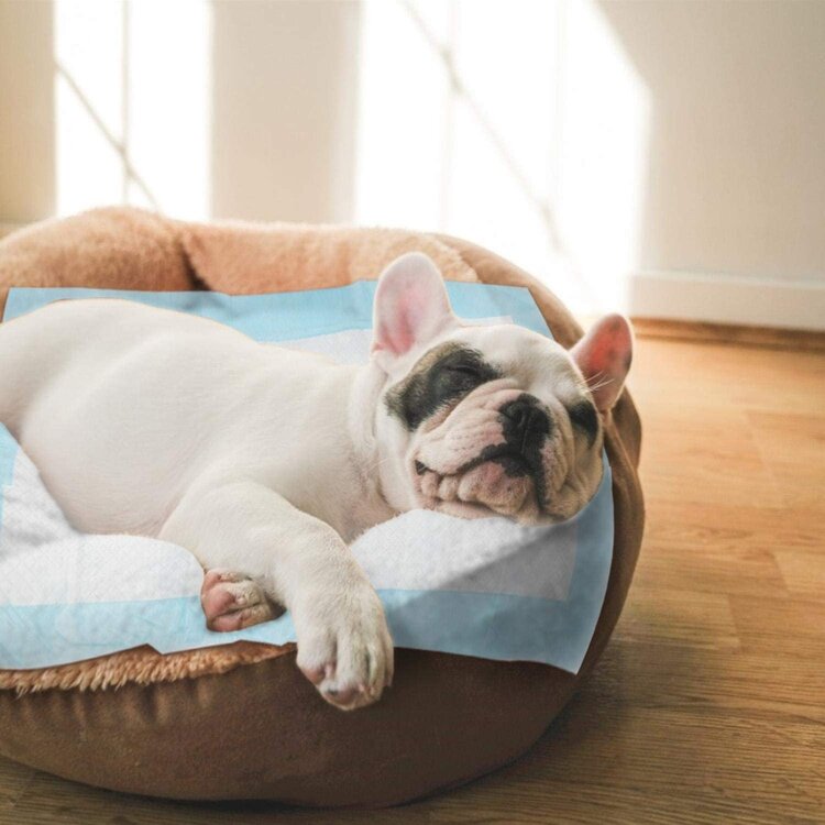 training puppy pads