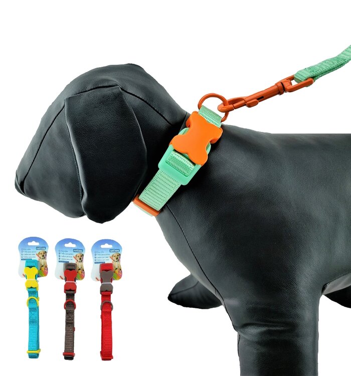 Puppyhalsband met een bot als kliksluiting. 