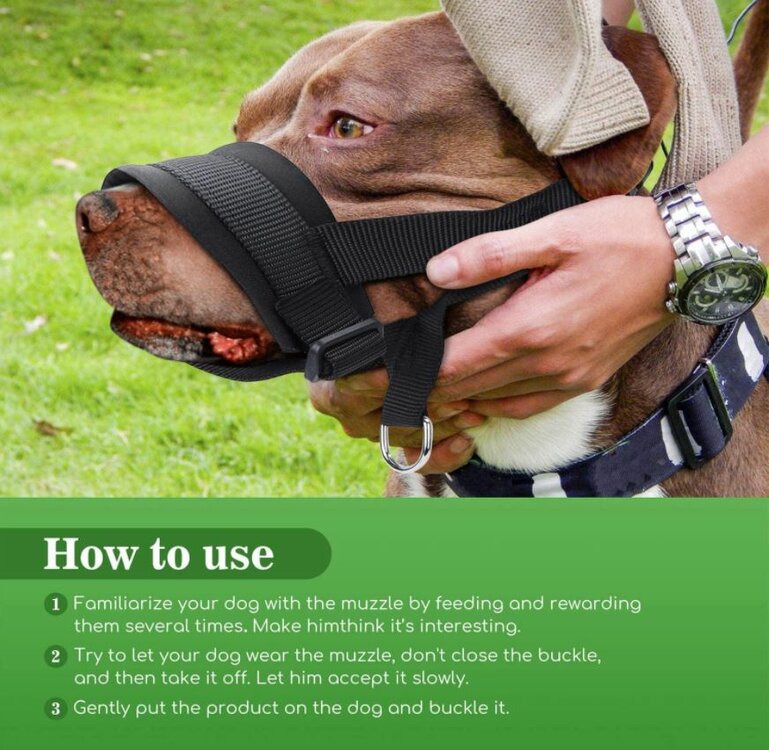 correctie halster voor honden