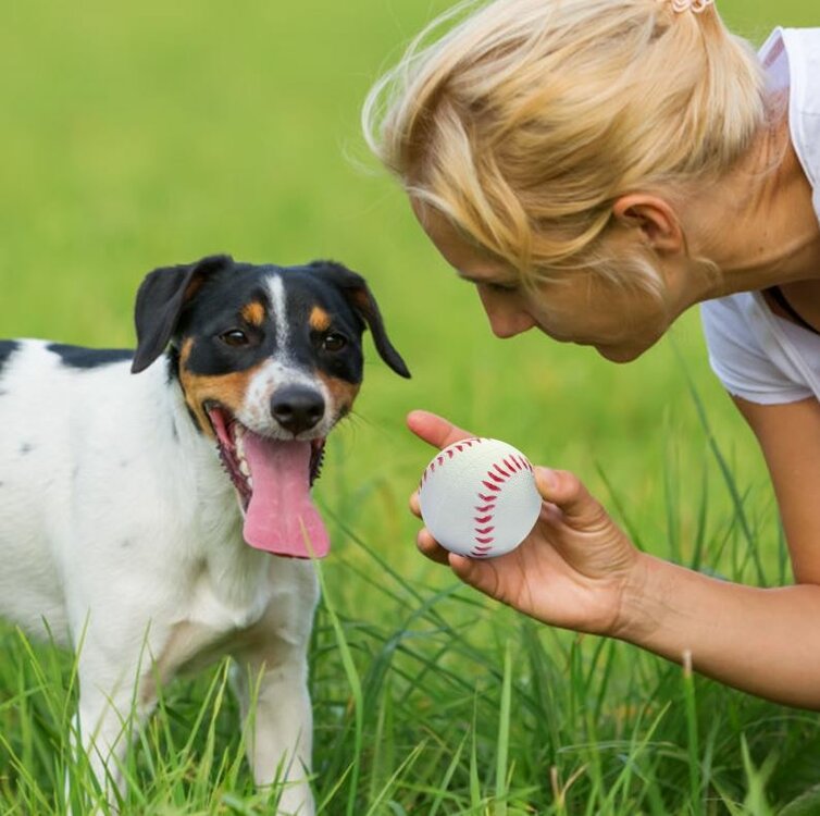 honden speeltje om fijn met jouw hond te kunnen spelen en apporteren