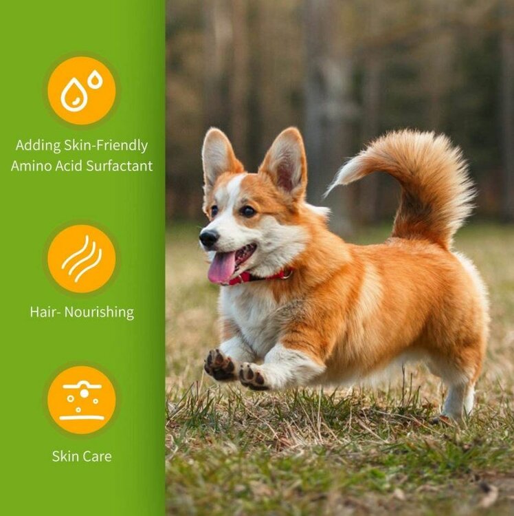huisdieren kunnen oplossen: jeukend huid, klitten in het haar, slechte geur, doffe haarkleur, ernstig haarverlies.