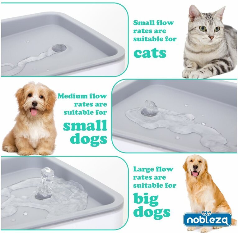 Waterfontein kat