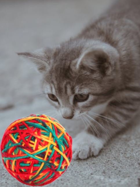 Bolletje wol katten speelgoed. Het speelgoed voor je kat. Als vanouds gegarandeerd succesvol kattenspeeltje