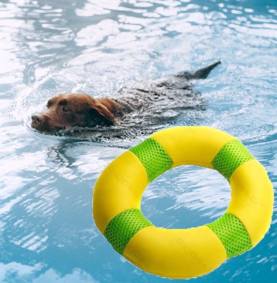 waterbestendig speeltje hond
