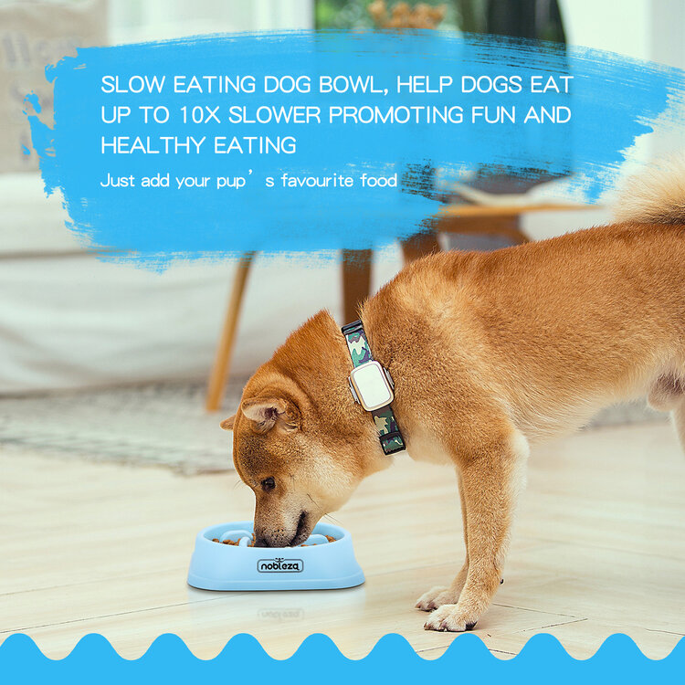 Deze voerbak zorg je er voor dat jouw hond niet te snel kan eten