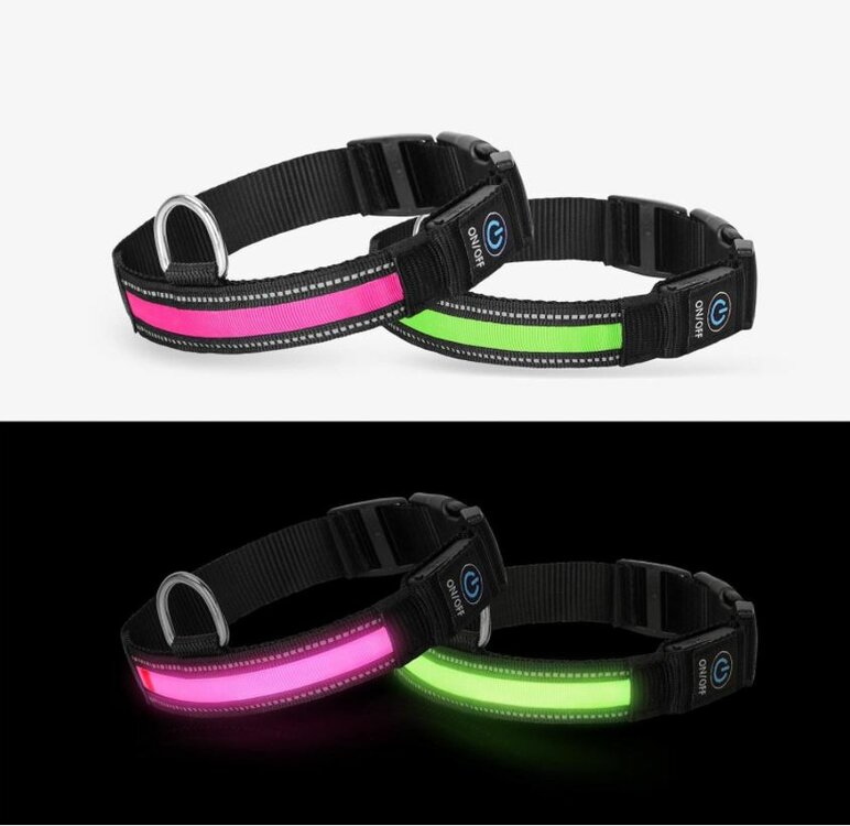 halsband hond met lichtjes