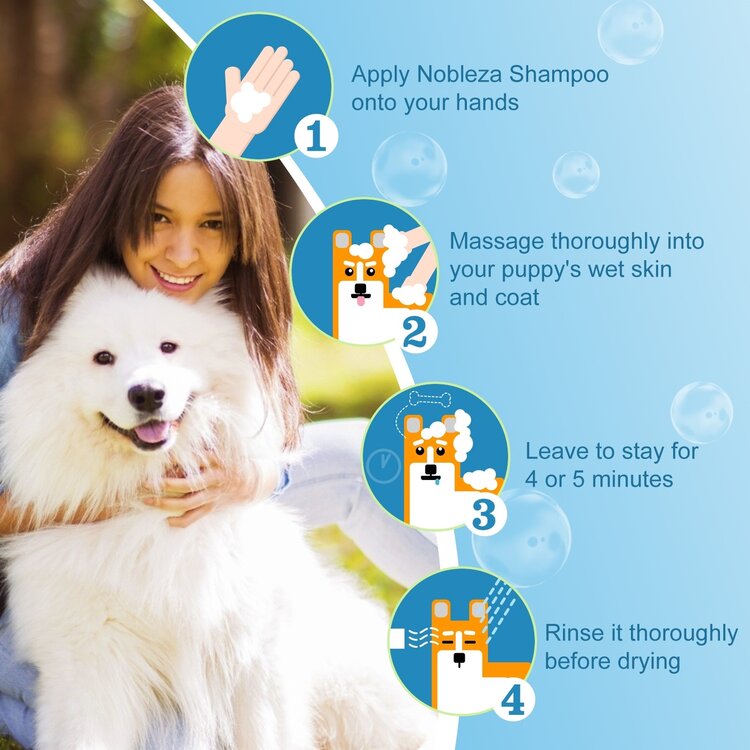 Shampoo keeshond