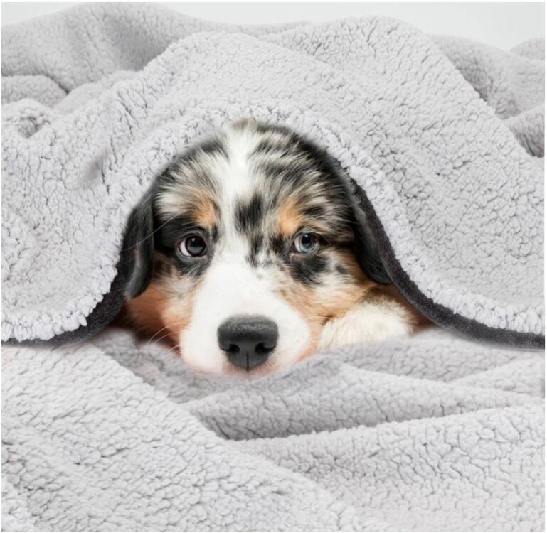 wollige dikke deken voor honden