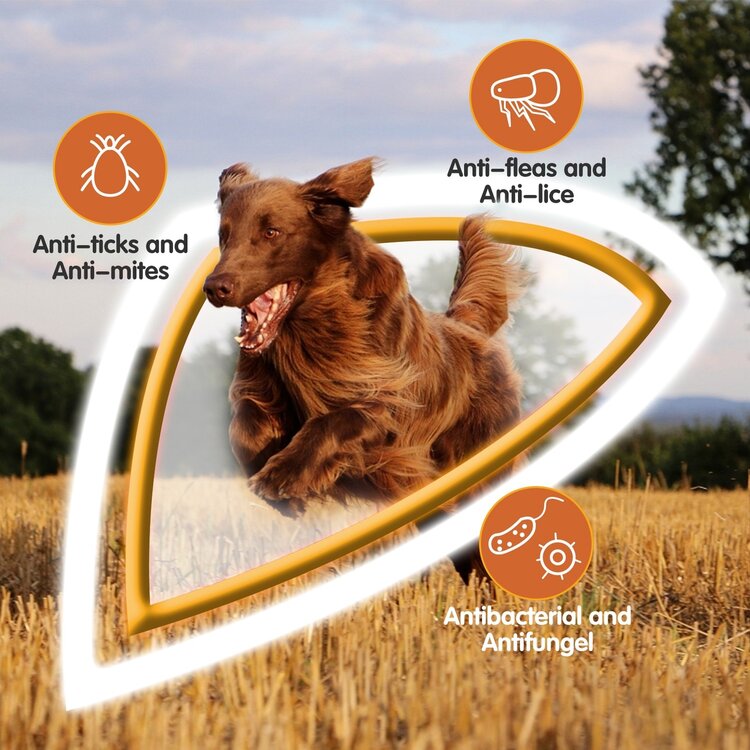 Nobleza Vlooienshampoo voor hond en kat - Antibacterieel - 500 ml