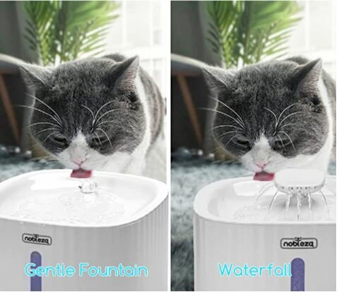 waterfontein kat