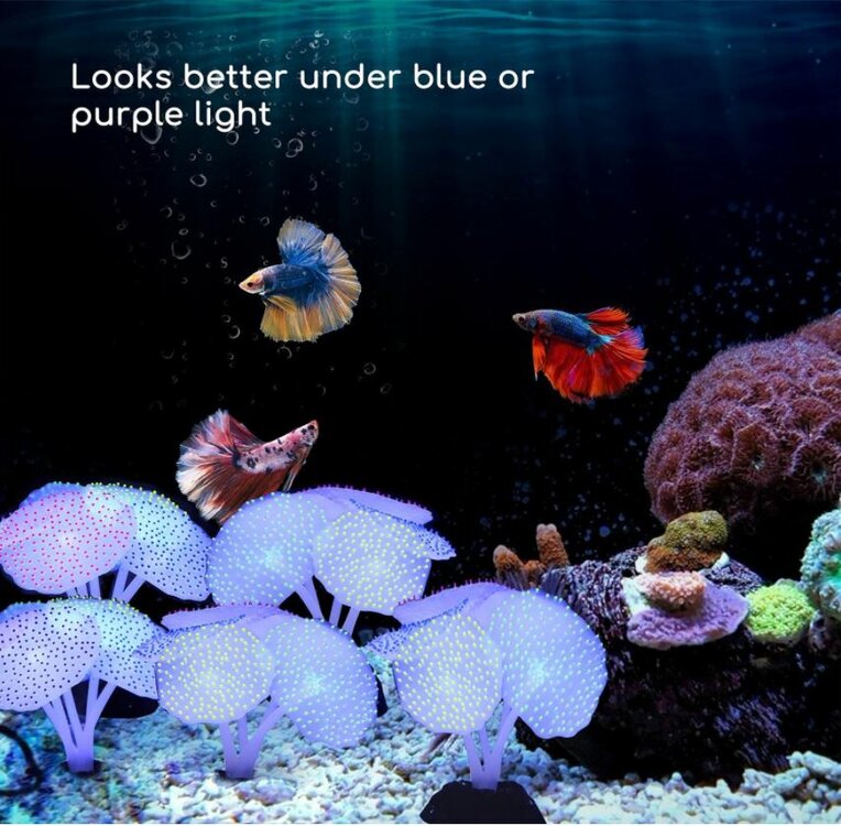 oplichtende aquariumplanten