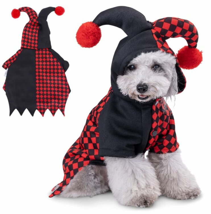 halloween kostuum hond