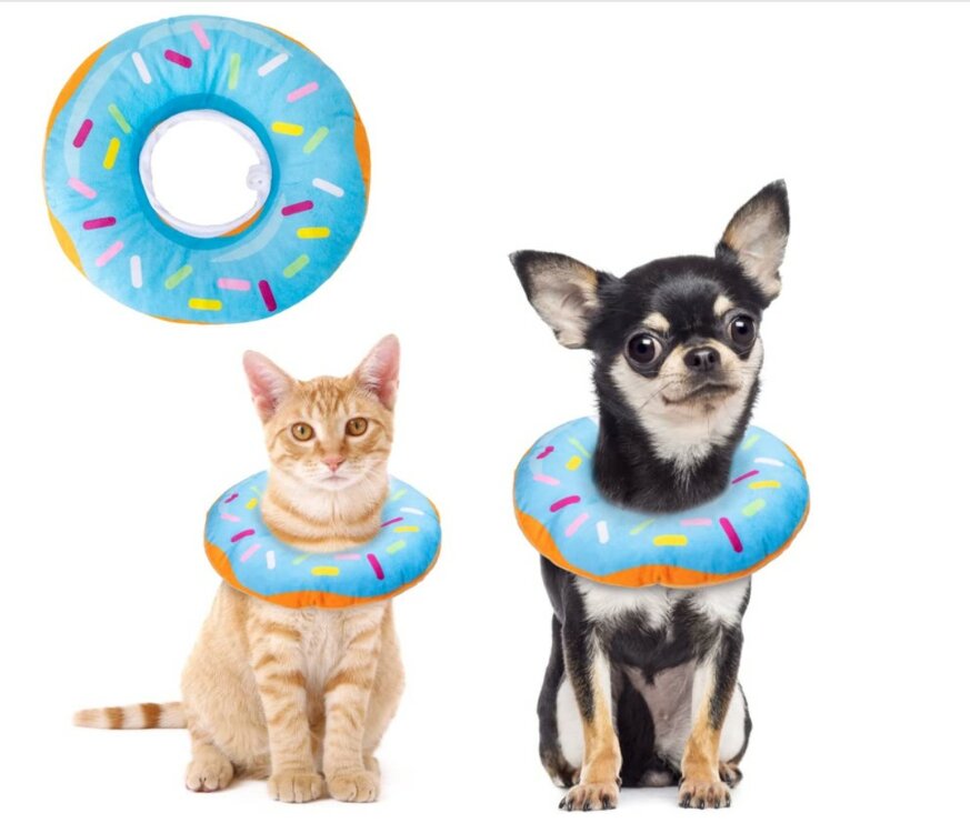 donut voor puppy&#039;s en kittens of kleine honden