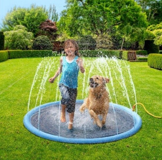 sprinkler met voor hond en mens