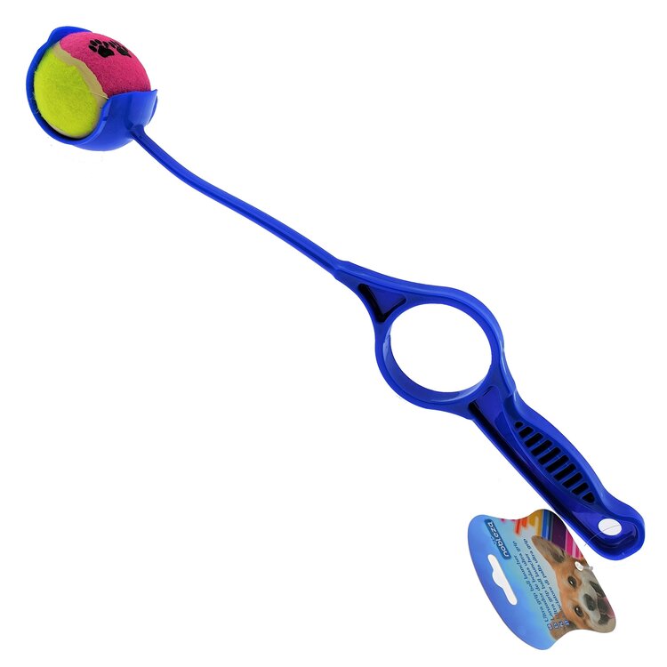Balwerper met tennisbal voor honden