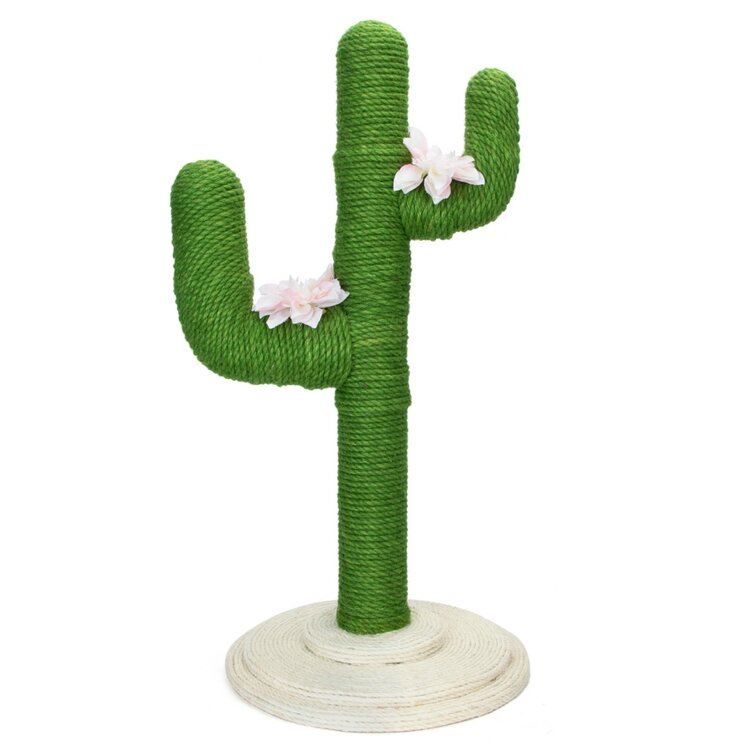 Krabpaal cactus groen