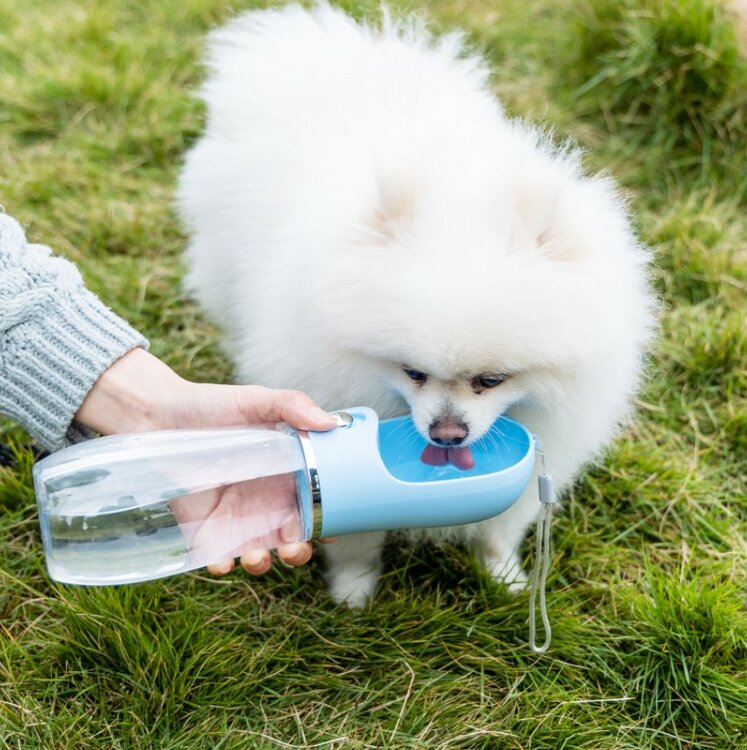 waterbakje voor honden die onderweg zijn
