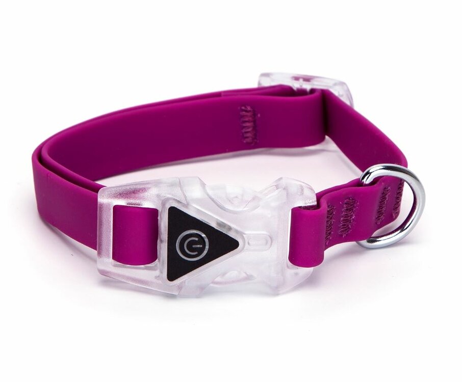 Roze verlichte halsband veiligheid voor jouw hond