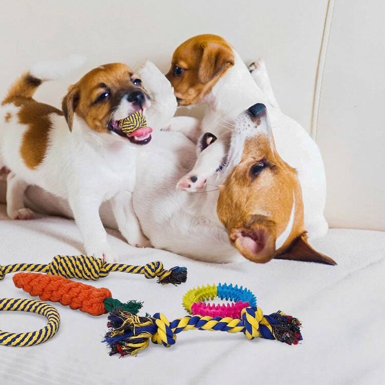 Kauwspeelgoed voor honden