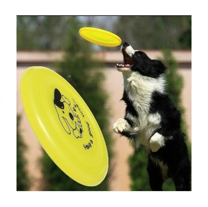 Hondenspeelgoed frisbee