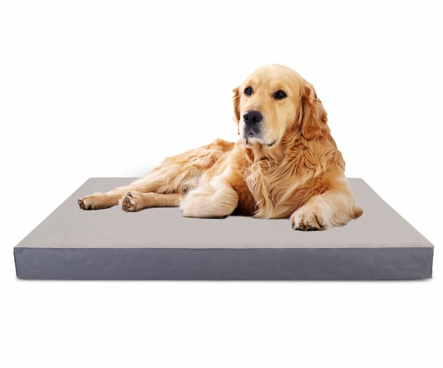 Nobleza Hondenkussen - Orthopedisch - Maat XL - 80x110 cm