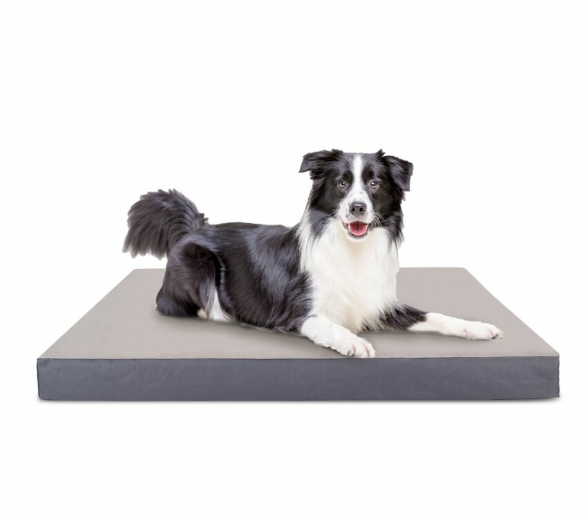 Nobleza Hondenkussen - Orthopedisch - Maat L - 70x90 cm
