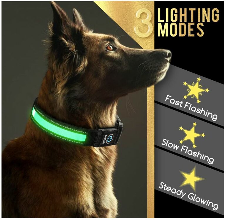 halsband hond met licht