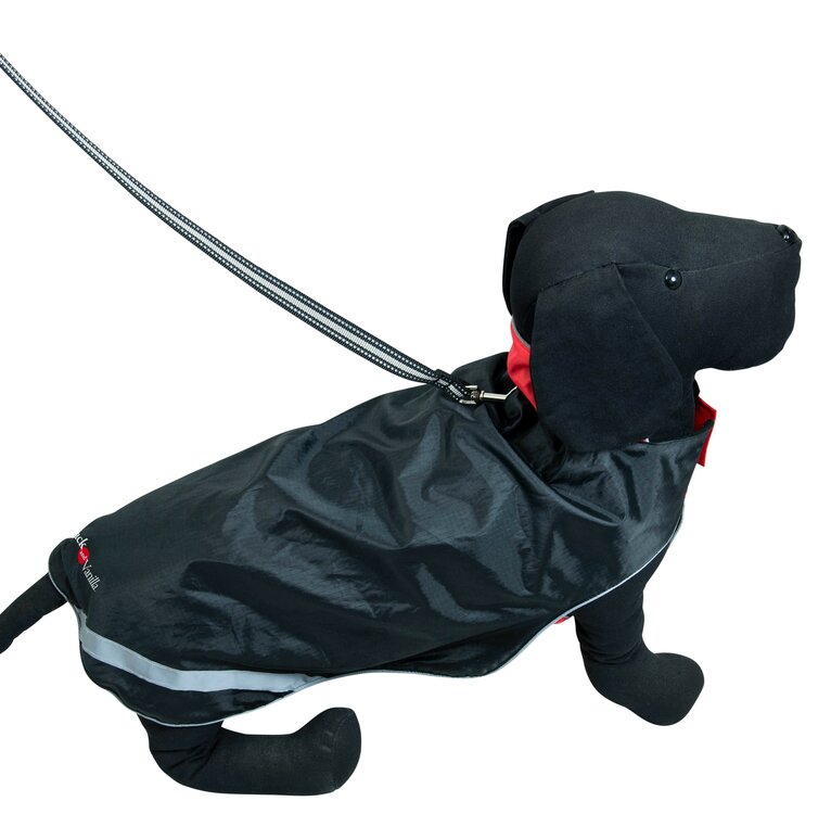 Regenjas voor grote hond