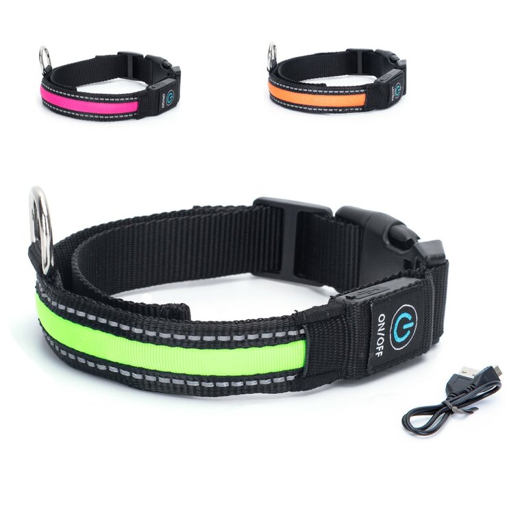 honden halsband met lichtjes