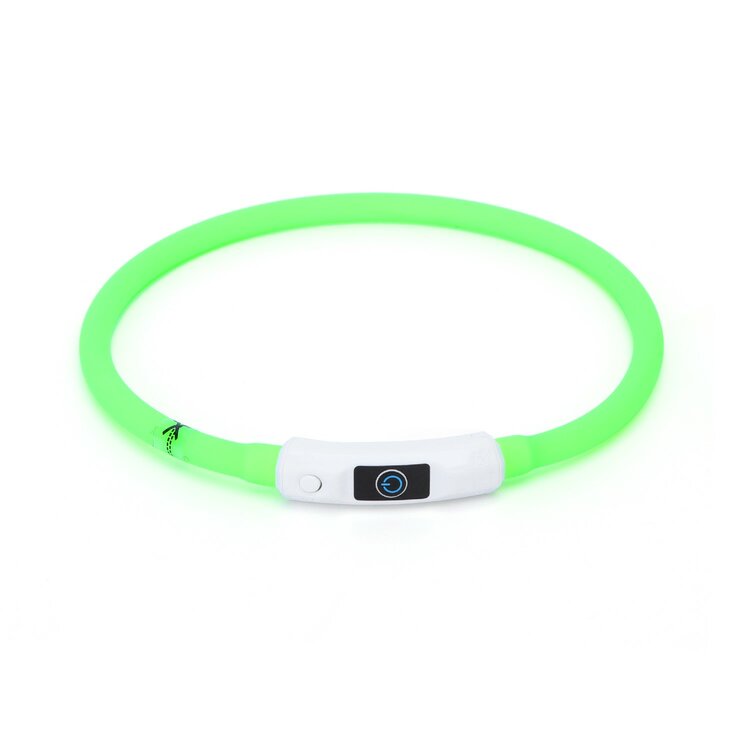 Halsband licht hond