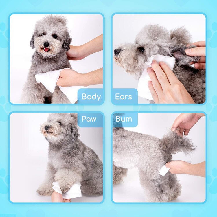 Natte doekjes voor honden