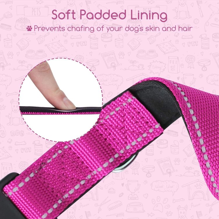 Halsband voor hondje roze 30 cm