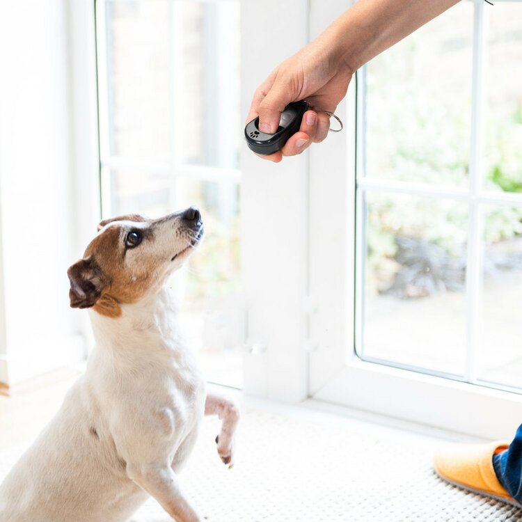 Clicker commando hond