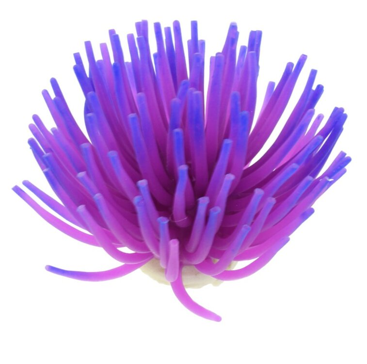 Kunst koraal paars
