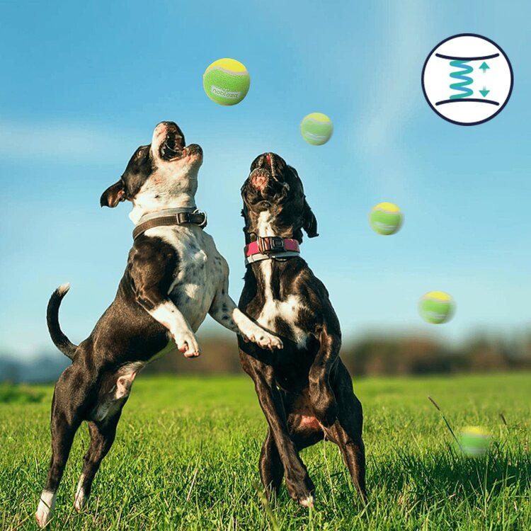 Nobleza Honden tennisballen - 3 Stuks