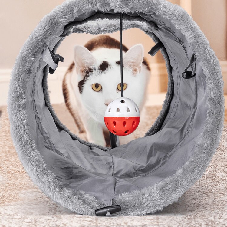 De beste kattentunnel