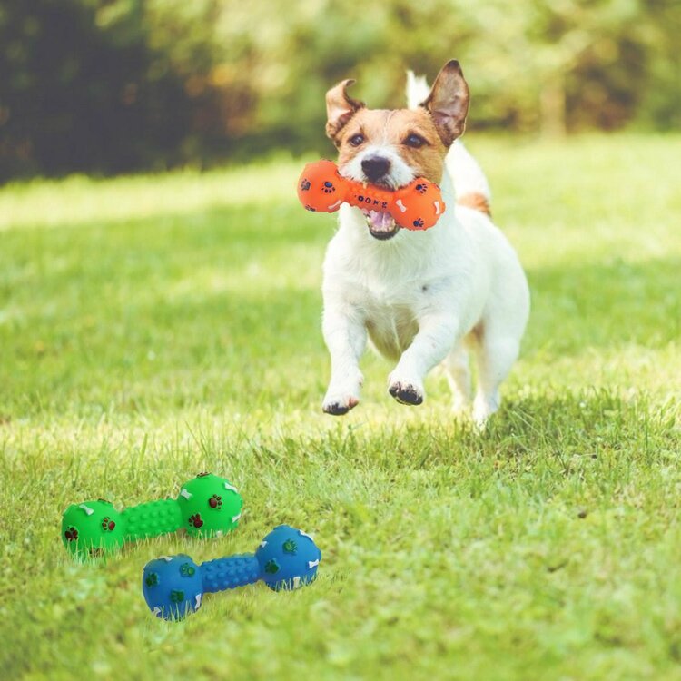 Piepspeeltje halter voor honden