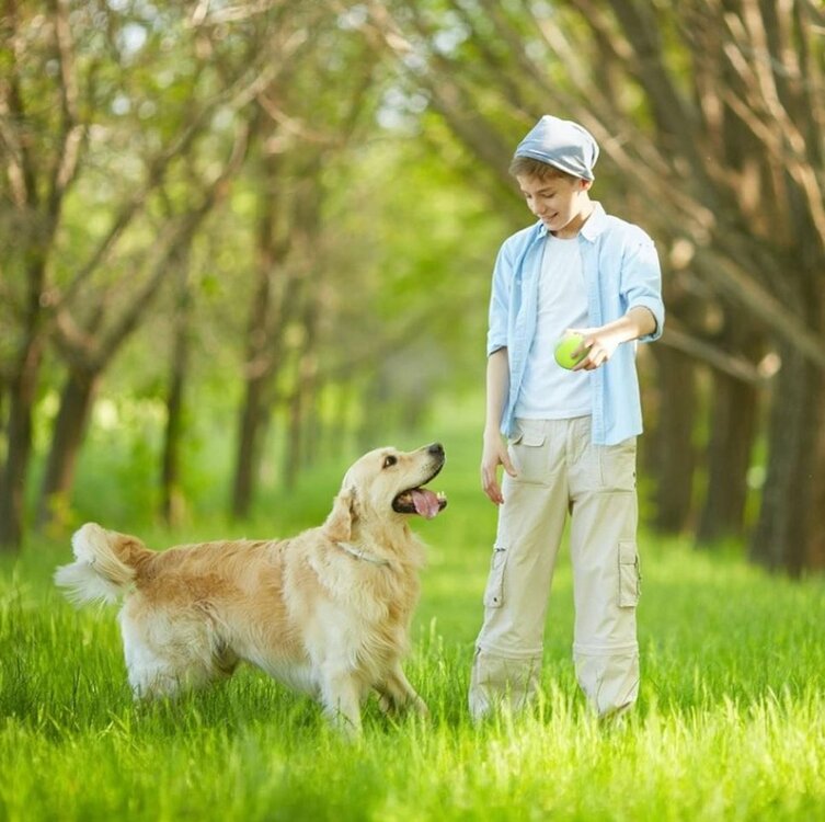 Speelbal voor honden