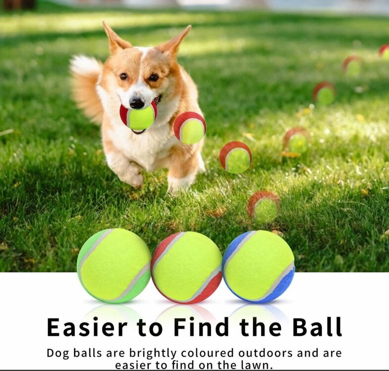 Tennisbal speelbal hond