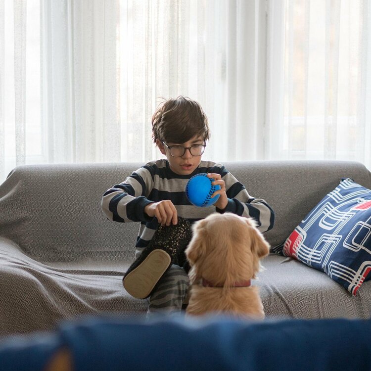 Massief rubber speelgoed hond