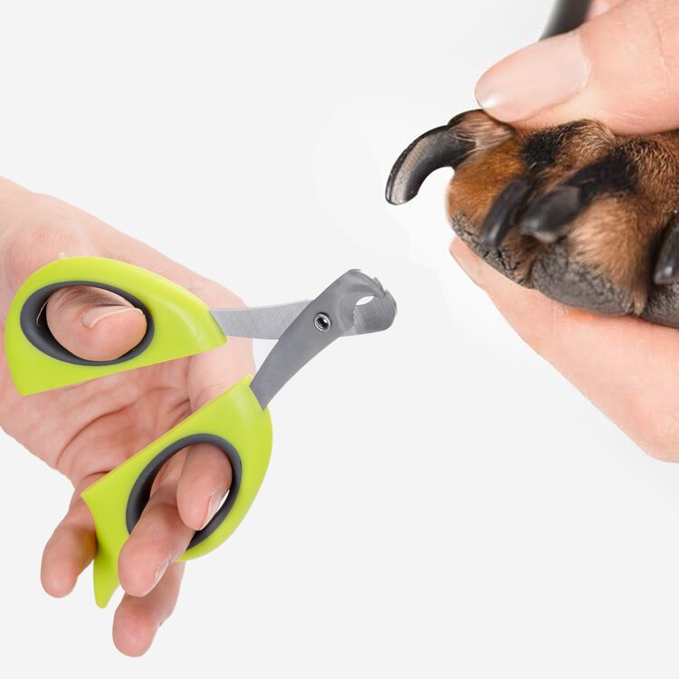 Knippen van de nagels bij honden