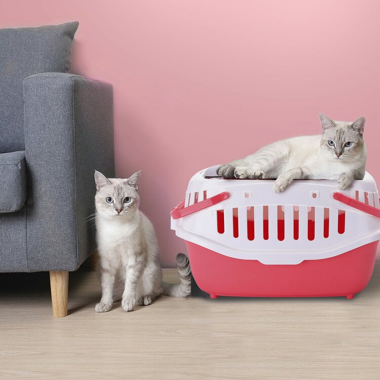 Nobleza Kattenreismand - Bovenlader - Rood
